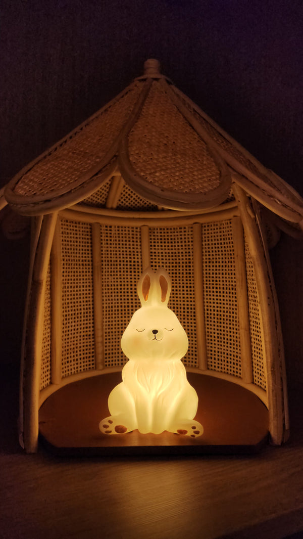 LUMINARIA DE COELHO