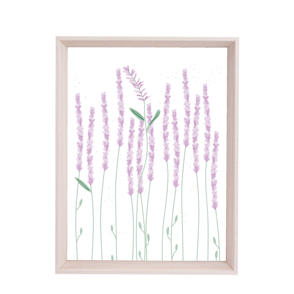 QUADRO LAVANDA (MOLDURANGG)