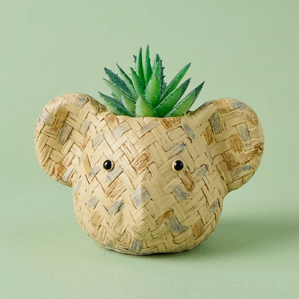 CACHEPOT COALA TRANCADO