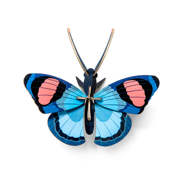 Borboleta Pequena Peacock