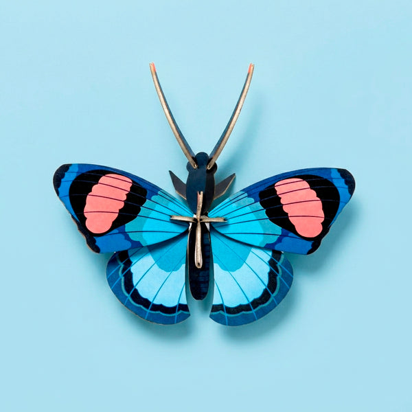 Borboleta Pequena Peacock