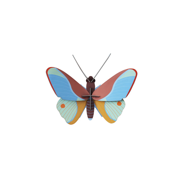 Borboleta Pequena Claudina