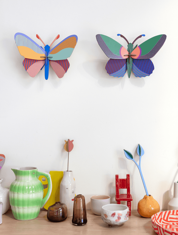 Borboleta Media Cleo