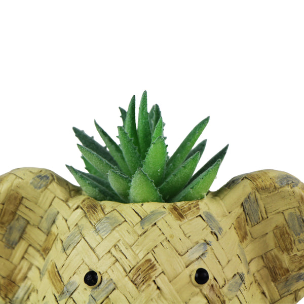 CACHEPOT COALA TRANCADO